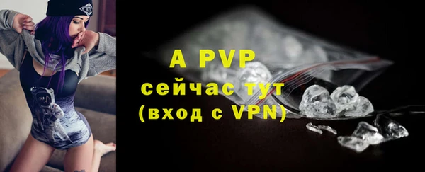 дживик Осинники