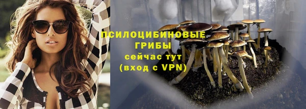синтетический гашиш Пестово