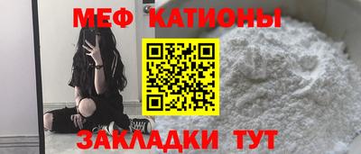 сатива Бийск