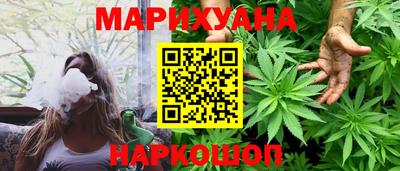 сатива Бийск