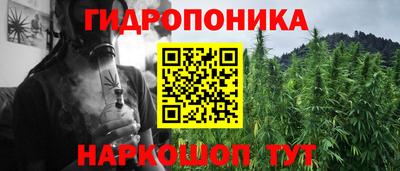 прущий лед Бийск