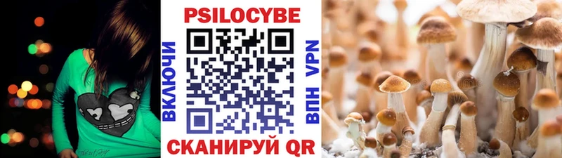 закладки  ссылка на мегу как зайти  Галлюциногенные грибы мухоморы  Верхняя Салда 