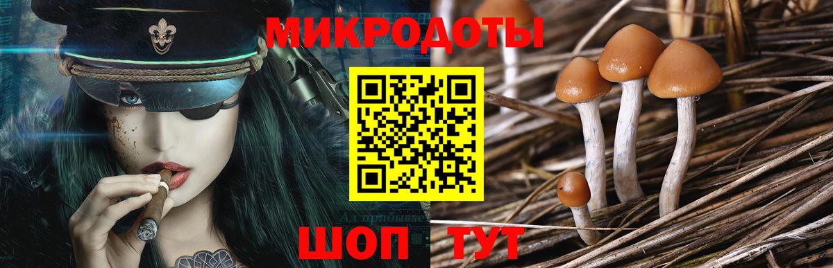 Псилоцибиновые грибы Psilocybine cubensis  Верхняя Салда  Псилоцибиновые грибы GOLDEN TEACHER 